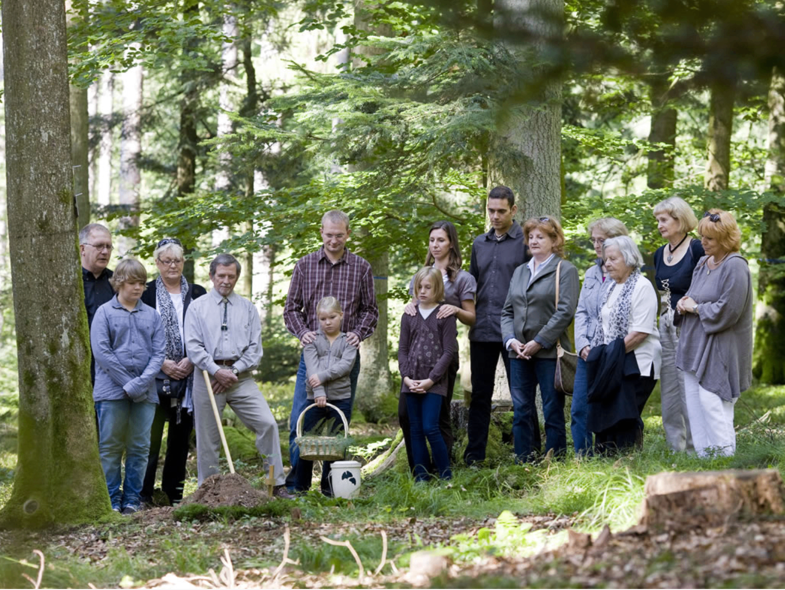 FriedWald-Bestattung