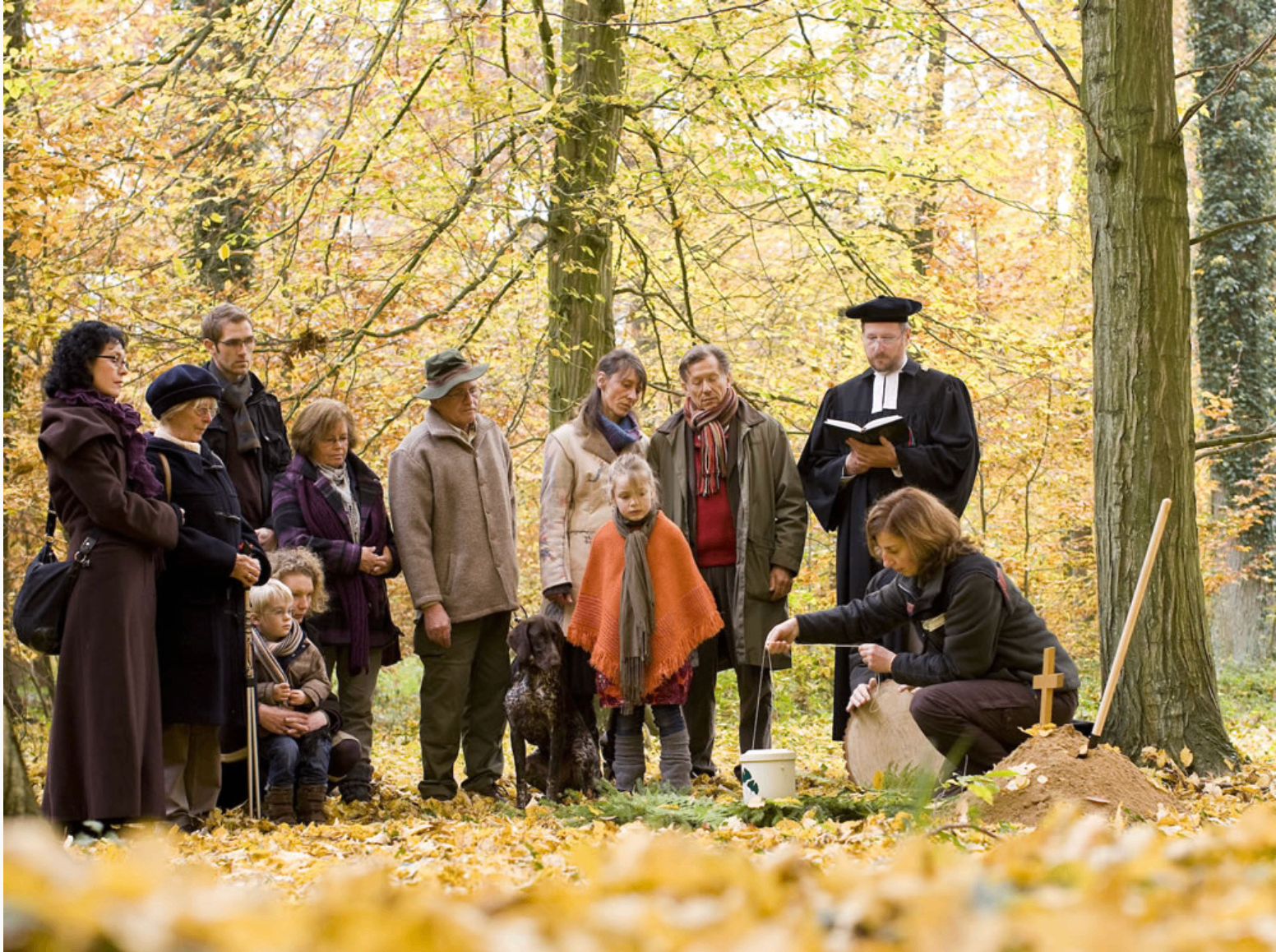 FriedWald-Bestattung