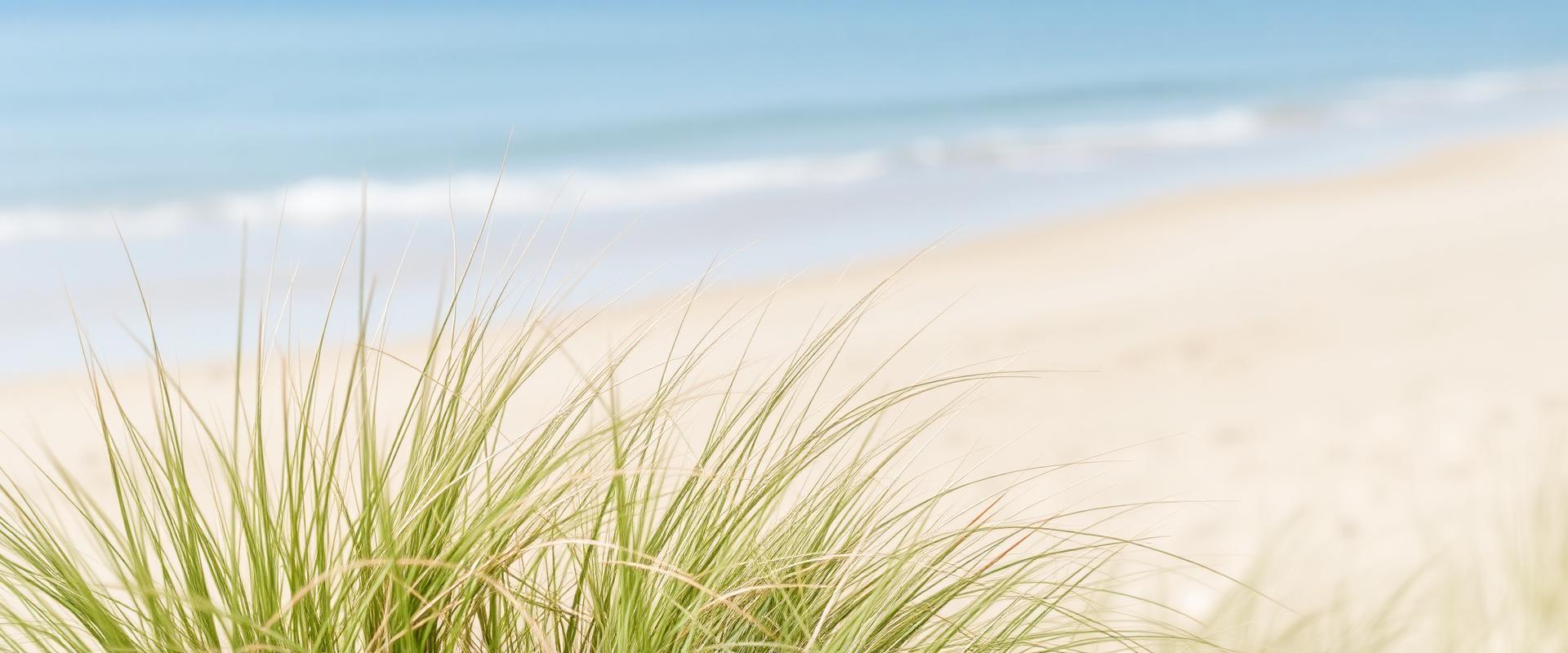 Seebestattung in Nord- oder Ostsee